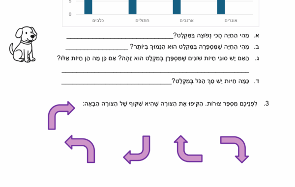 מבחן בחשבון לכיתה ב